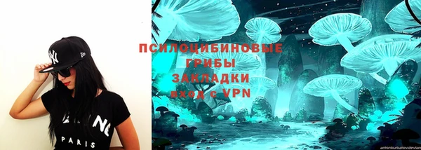 a pvp Белокуриха