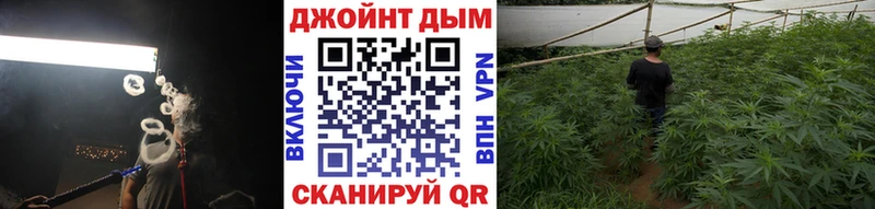 Бошки Шишки гибрид  Трёхгорный 